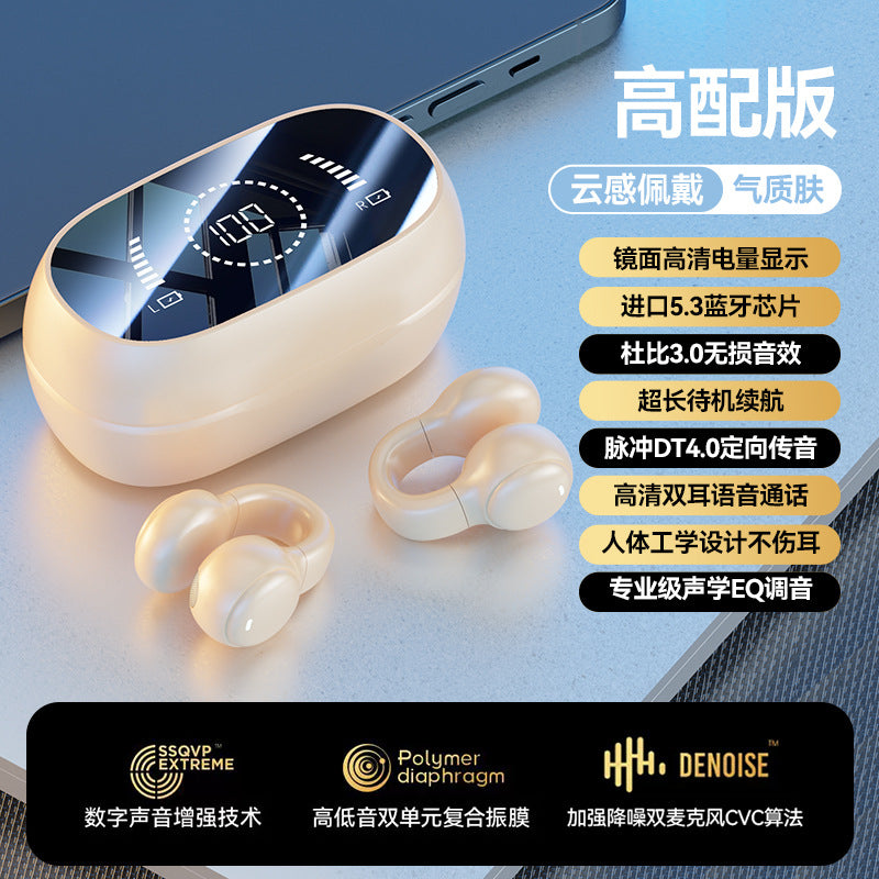 M55 SportBone Wireless Earphones